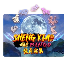 Sheng Xiao Bingo - FOXYBET77