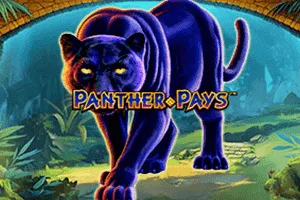 Panther Pays - FOXYBET77