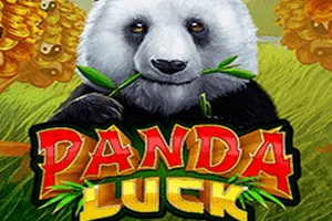 Panda Luck - FOXYBET77