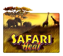 Joker123 : Safari Heat - FOXYBET77