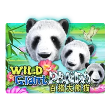 Joker123 : Wild Giant Panda - FOXYBET77