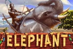 PLAYSTAR : ELEPHANT - FOXYBET77