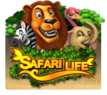 Joker123 : Safari Life - FOXYBET77