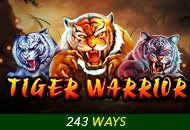Spadegaming : Tiger Warrior - FOXYBET77