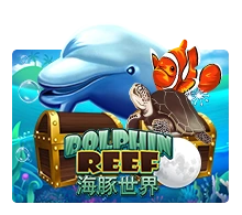 Joker123 : Dolphin Reef - FOXYBET77