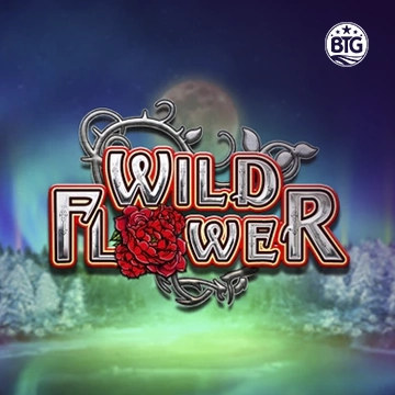 Bigtime : Wild Flower - FOXYBET77