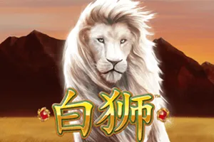 Bai Shi - FOXYBET77