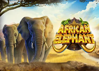 Pragmatic : African Elephant - FOXYBET77
